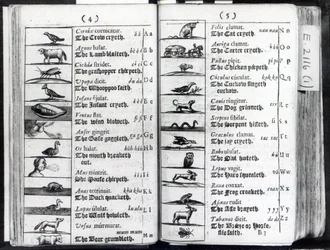 Dos páginas de Orbis Sensualium Pictus por Comenius, 1659