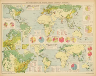 Productos vegetales, madera, materias colorantes y curtientes (litografía en color)