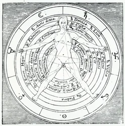 Figura de Vitruvio, de 