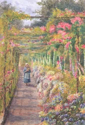 Joven caminando bajo una pérgola de rosas