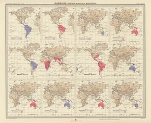 Zoogeografía: Mammalia, Edentata, Marsupialia, Monotremata (litografía en color)
