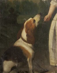 Un sabueso
