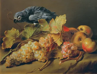 Naturaleza muerta con loro y uvas