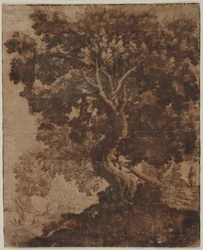 Árbol en un paisaje