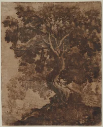 Árbol en un paisaje, mediados del siglo XVII