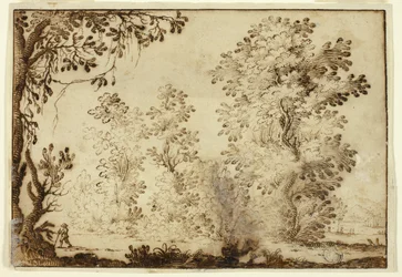 Paisaje boscoso con viajero en primer plano