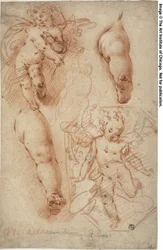 Bocetos de Putti, Piernas
