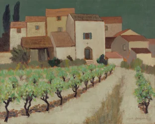 Viñedo, Provenza