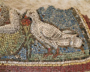 Una paloma. Mosaico de las casas inclinadas de Éfeso (Turquía)