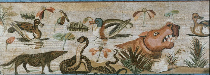 Animales acuáticos y otros animales