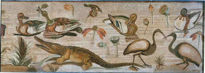 Animales acuáticos. Parte de una banda de mosaico de Pompeya, Italia