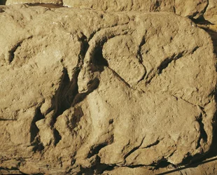 Carneros de combate (relieve de piedra)
