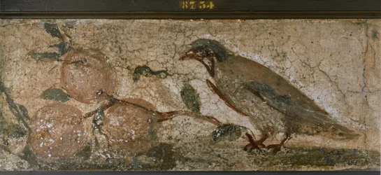 Pájaro y frutas de Pompeya, Italia (mural)
