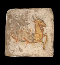Capricornio 244-245 CE ...