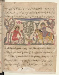 Página completa: texto y miniatura: Andrómaco el Viejo observando al niño mordido por una serpiente (miniatura).