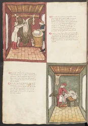 Página completa: texto y miniaturas: " Carne grande nostrana ingrasata " (miniatura)