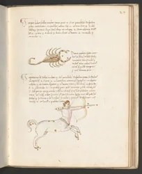 Página completa: texto con los signos del Zodíaco: "Escorpio", c.1470 (dibujo a pluma y pincel)