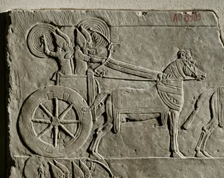 La campaña del rey Ashurbanipal contra Elam ...