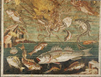 Fauna marina, peces, Casa del Fauno, Pompeya