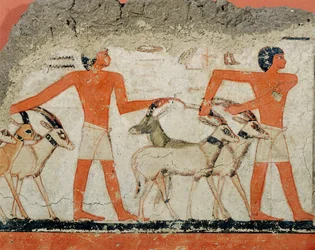 Mural de la tumba del faraón Metchetchi ...