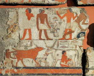 Mural de la tumba del faraón Metchetchi ...