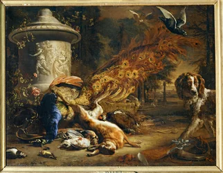 Naturaleza muerta con pavo real y perro …