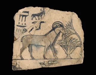 Ostracon con dibujo de un carnero ...