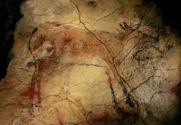 Ciervo corredor. Pintura rupestre de Altamira, Santander, España (pintura)