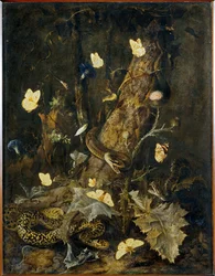 Serpientes y mariposas ...