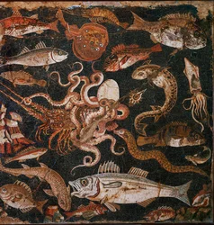 Fauna submarina. Mosaico de Pompeya, Italia