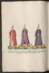 La servidumbre de la sultana: eunucos