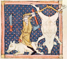 Fol.59v Diciembre: Matar cerdos (vitela)