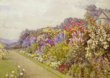 Delphinium Border, en 