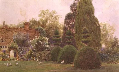 Pollos en un jardín