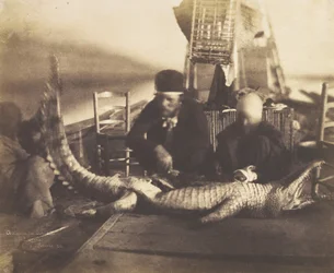 Autopsia del Primer Cocodrilo a Bordo, Alto Egipto, 1852