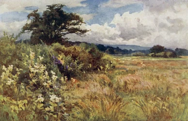 Terreno elevado
