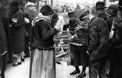 Un grupo de compradores de canarios, París, 1931