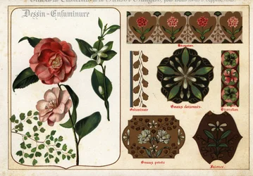 Imágenes de camelias y flores de azahar procedentes de manuscritos y