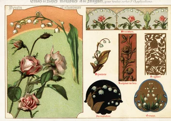 Imágenes de la rosa de musgo y el lirio de los valles procedentes de manuscritos y