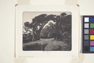 Enramada de cipreses (mezzotinta)