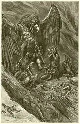 El Águila y el Zorro