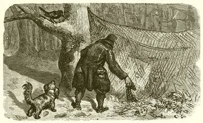 El Cazador y el Mirlo