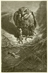 El halcón y el ruiseñor