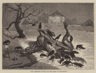 Los horrores de la guerra, en el camino a Beaugency