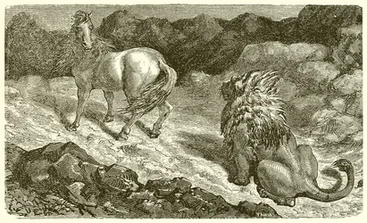El caballo y el león