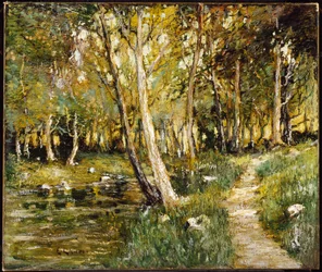 Paisaje
