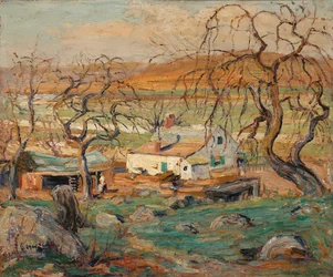 Paisaje con árboles nudosos