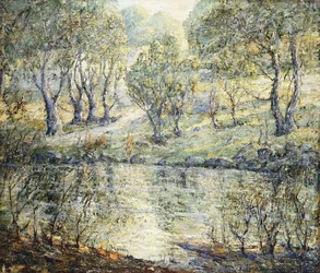 Camino al río