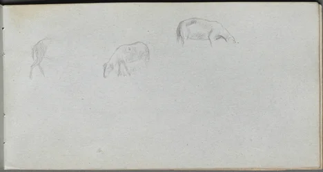 Cuaderno de bocetos, página 20: Estudio de animales