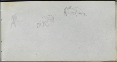 Cuaderno de bocetos, página 20: Estudio de animales